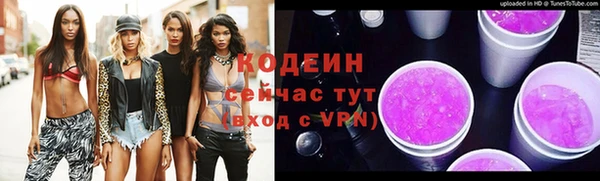 молекула духа Надым