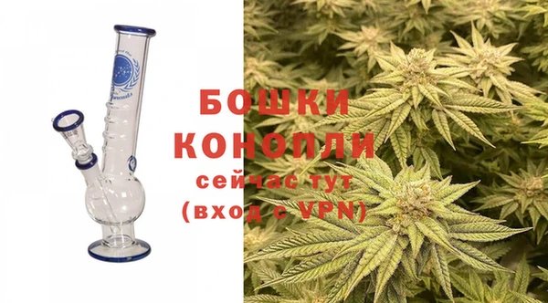 молекула духа Надым
