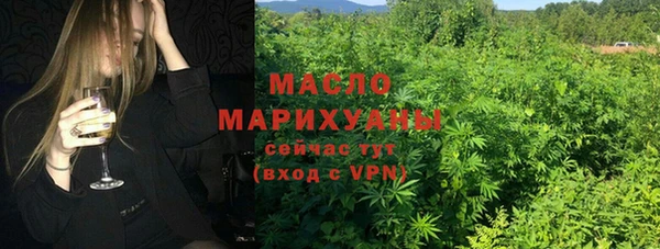 молекула духа Надым